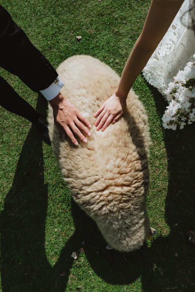 六甲山牧場（nn)の前撮り事例