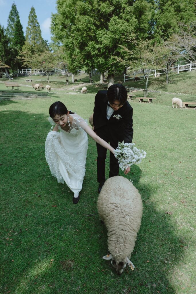 六甲山牧場（nn)の前撮り事例