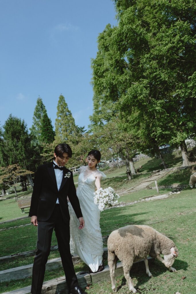 六甲山牧場（nn)の前撮り事例