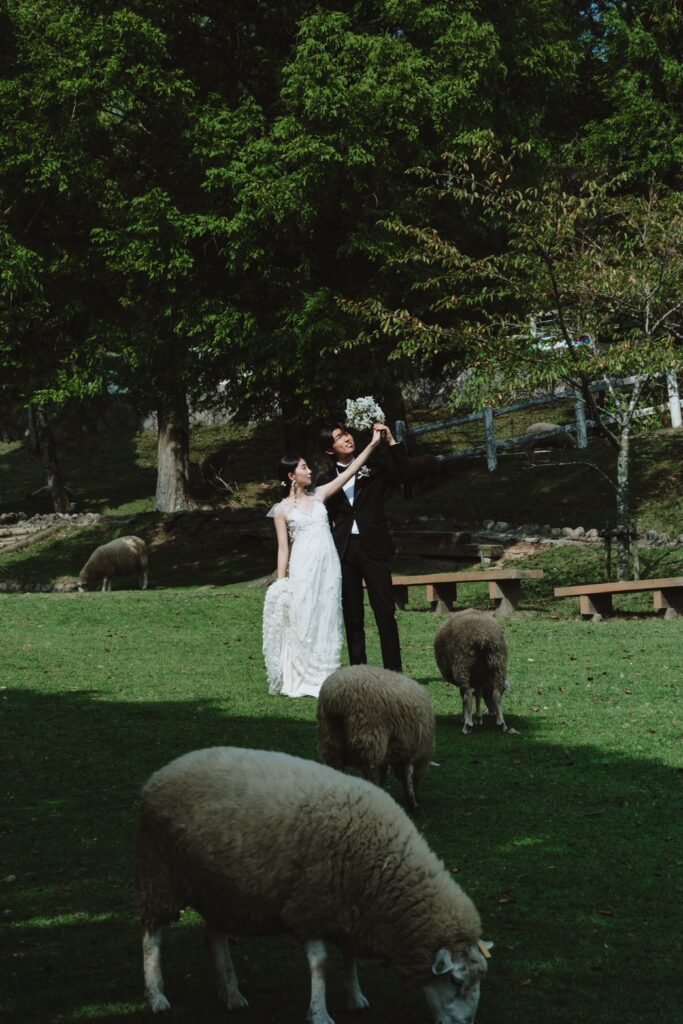 六甲山牧場（nn)の前撮り事例