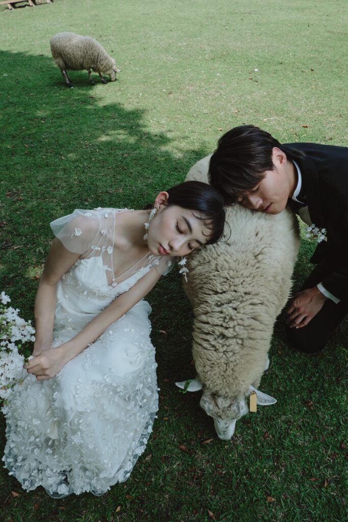 六甲山牧場（nn)の前撮り事例