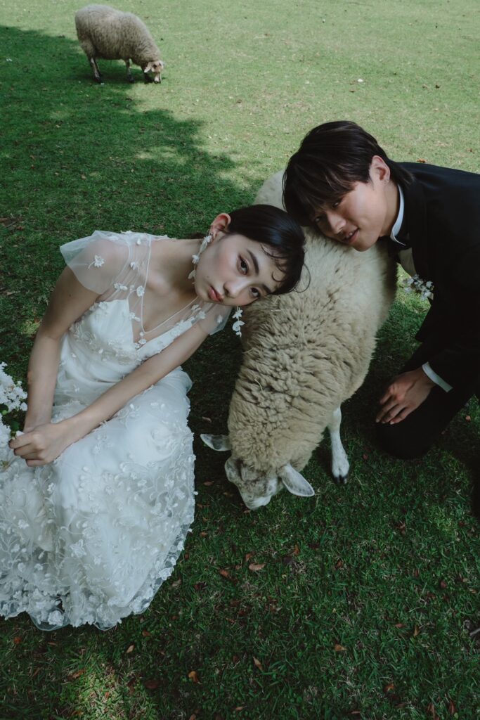 六甲山牧場（nn)の前撮り事例