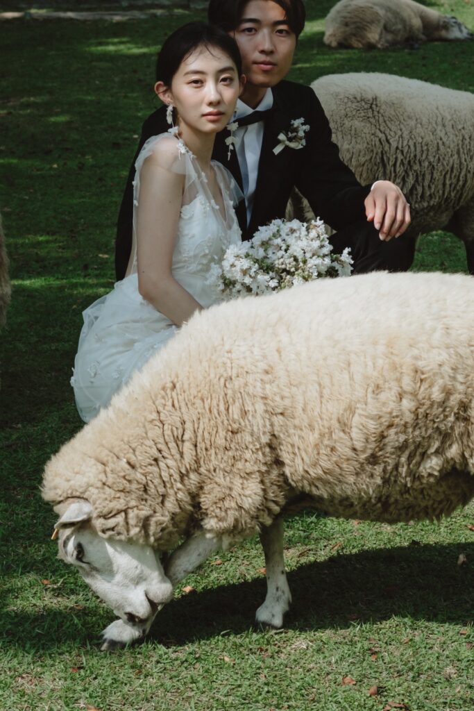 六甲山牧場（nn)の前撮り事例