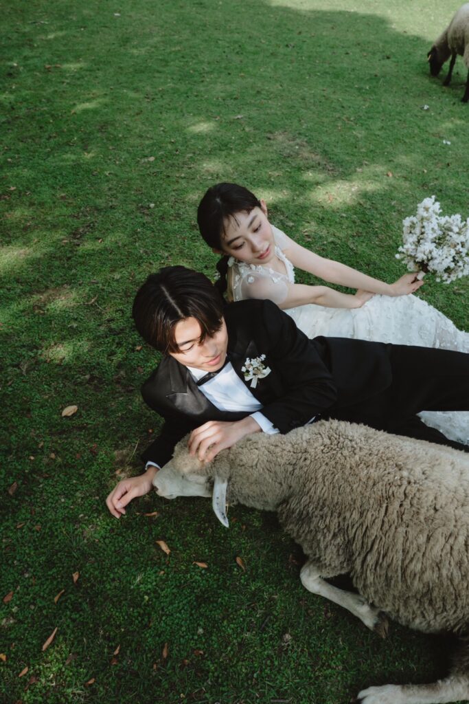 六甲山牧場（nn)の前撮り事例