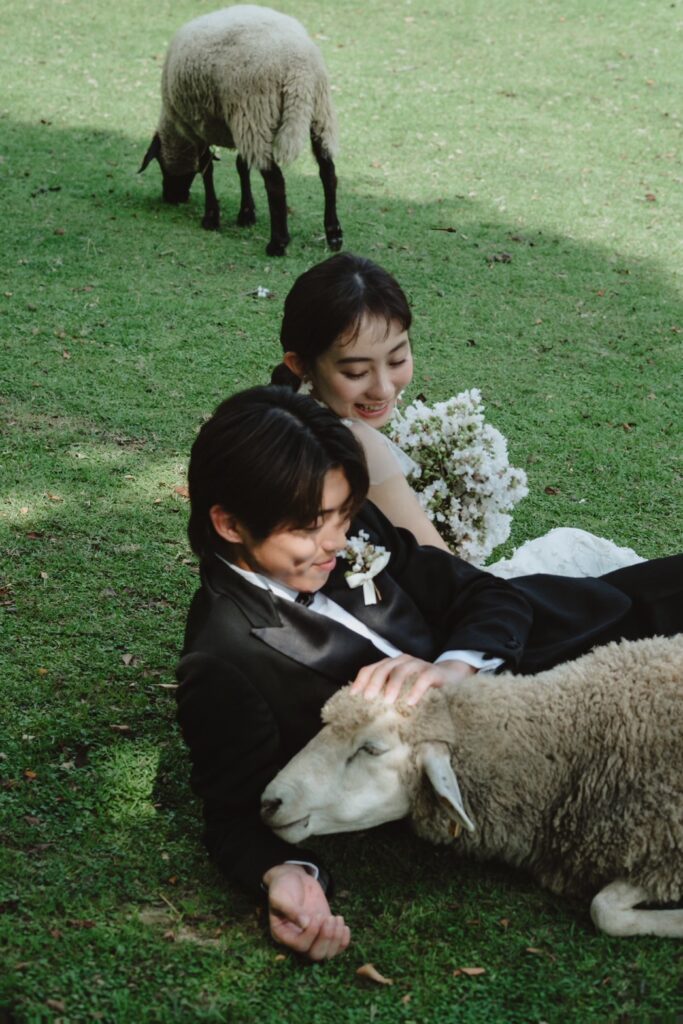 六甲山牧場（nn)の前撮り事例