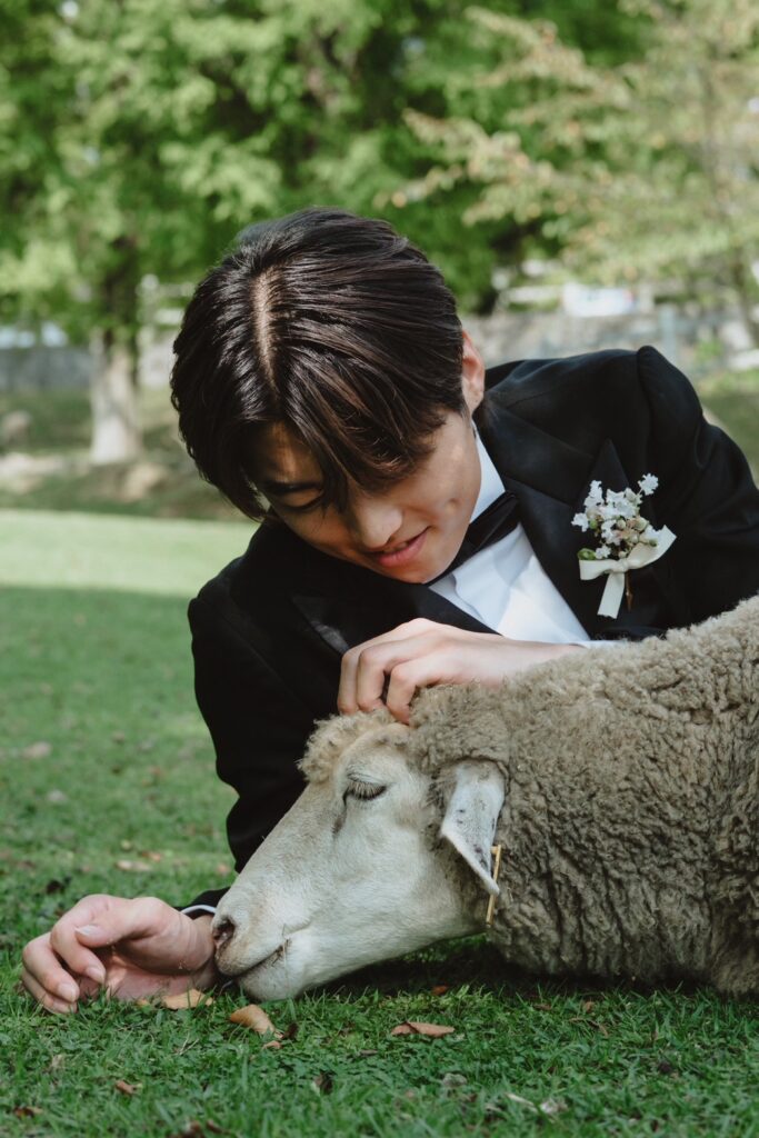 六甲山牧場（nn)の前撮り事例