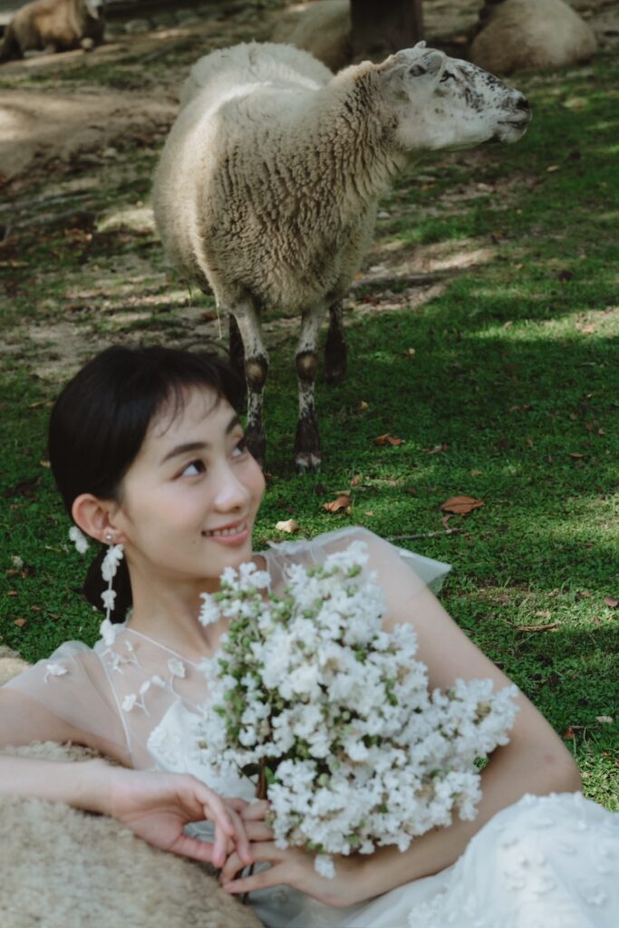 六甲山牧場（nn)の前撮り事例