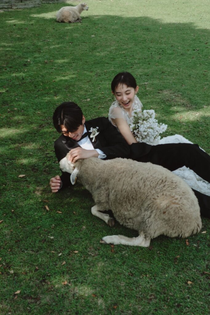 六甲山牧場（nn)の前撮り事例