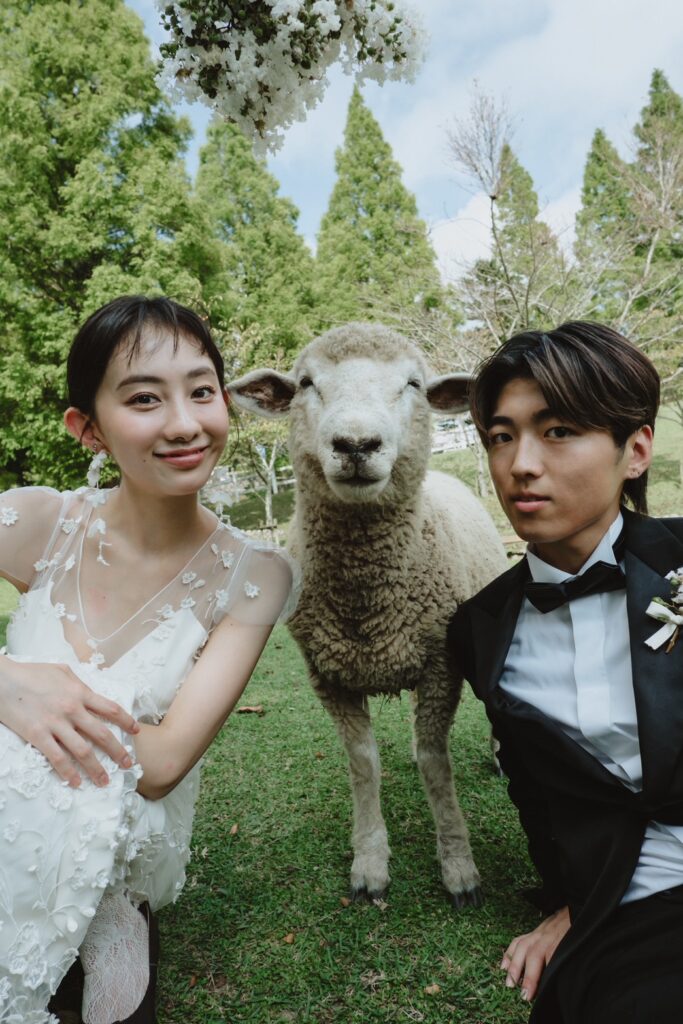 六甲山牧場（nn)の前撮り事例