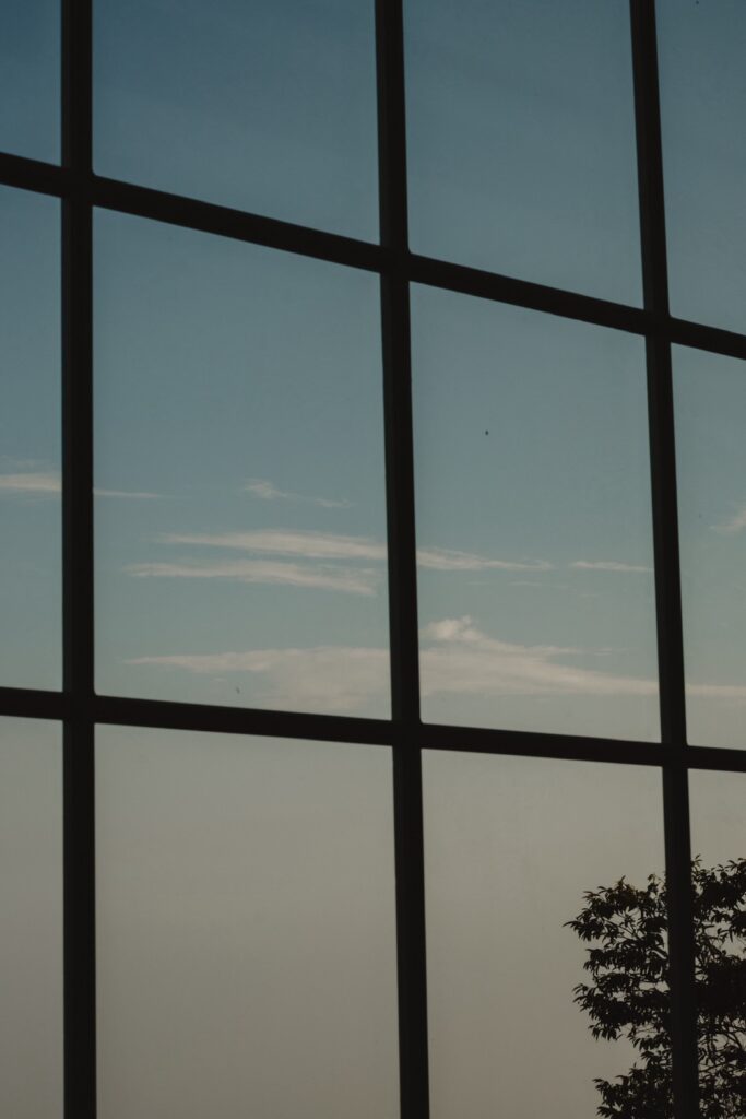 六甲山牧場（nn)の前撮り事例