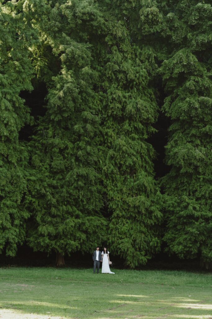 矢田山公園（nn)の前撮り事例