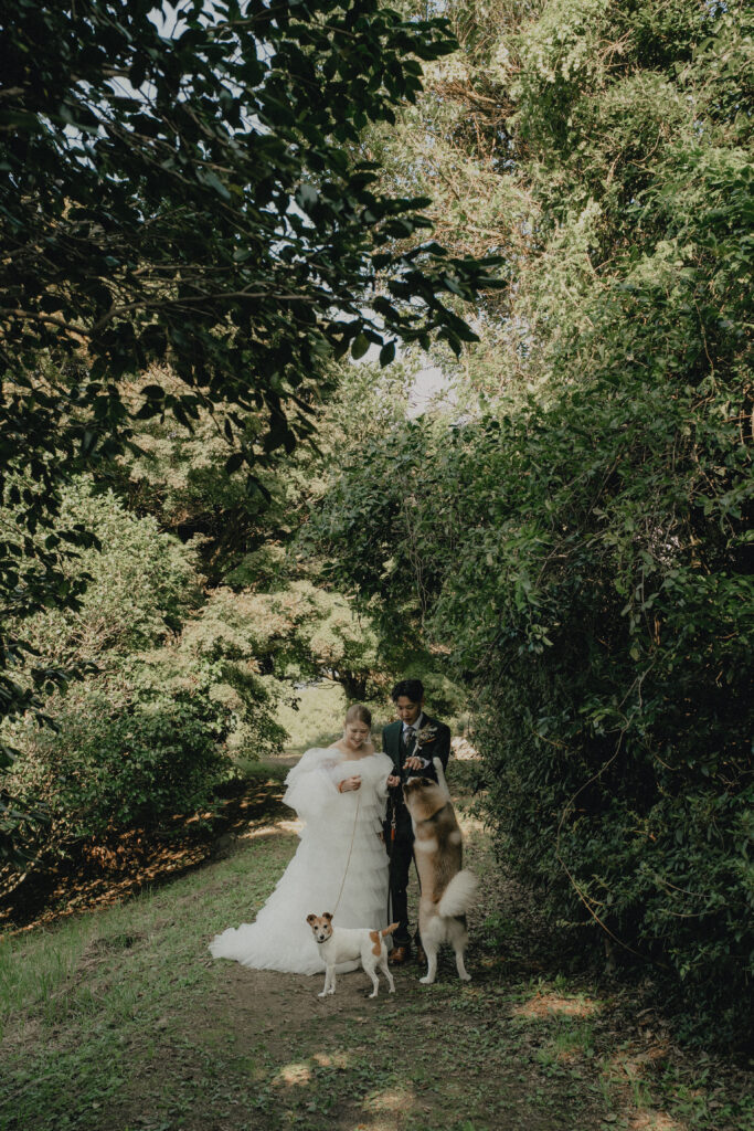 秋吉台の前撮り事例