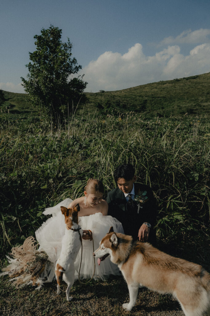 秋吉台の前撮り事例