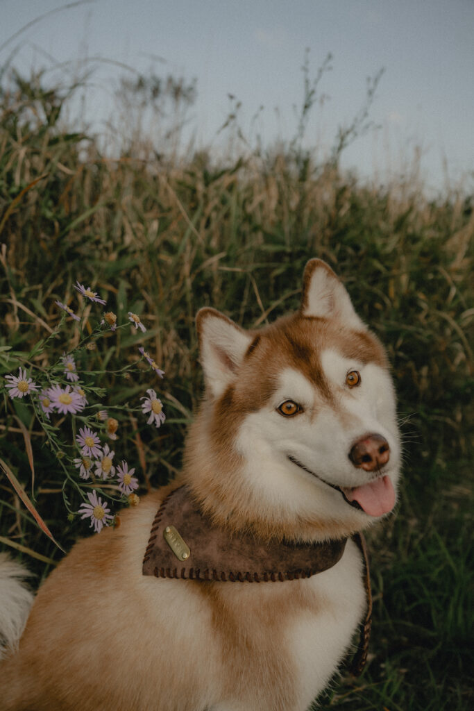 秋吉台の前撮り事例