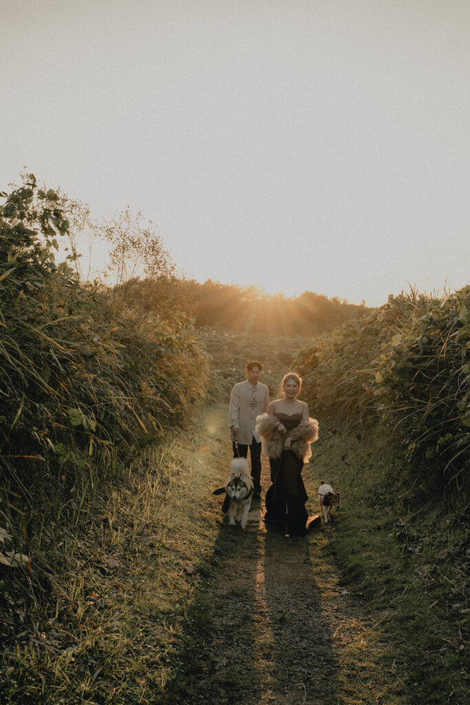 秋吉台の前撮り事例