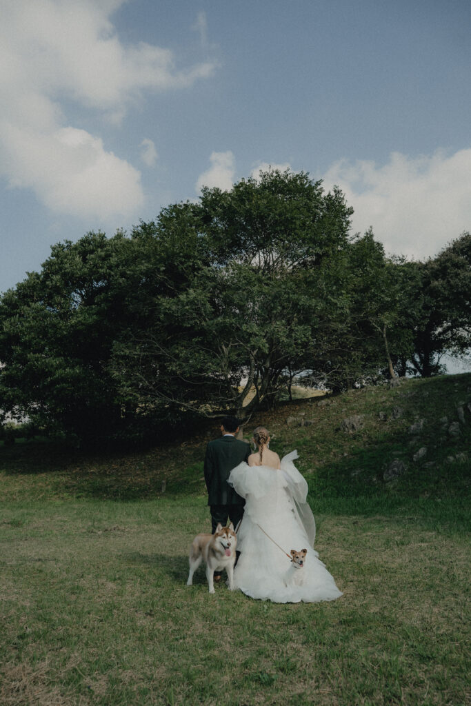 秋吉台の前撮り事例