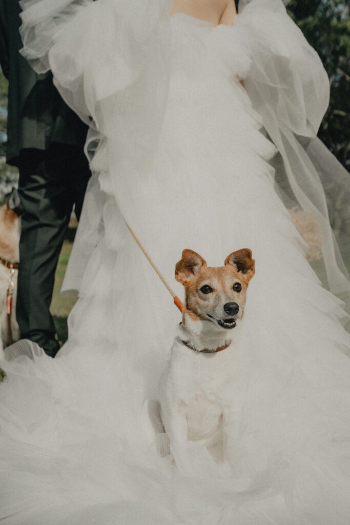 秋吉台の前撮り事例