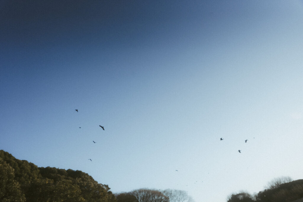 根岸森林公園 (BAOI/日中）の前撮り事例