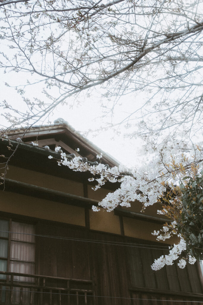 尾道(BAOI)の前撮り事例